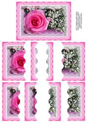 Pink Rose with Lace