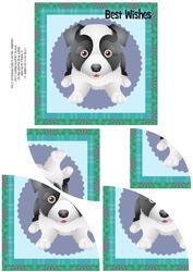 Cute Dog Number 10
