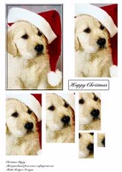 Christmas Puppy