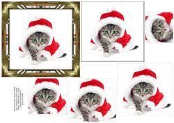 Santa Kitten