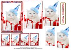 Christmas Cat in Blue Hat