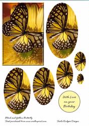Black and Yellow Butterfly
