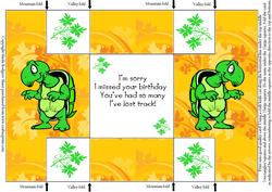 Belated Birthday Ancient Tortoise Humorous