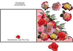 Roses, Roses, Roses