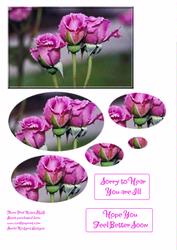 Three Pink Roses Gws