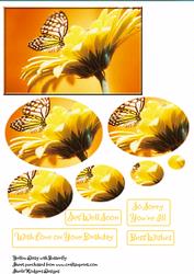Yellow Daisy with Butterfly