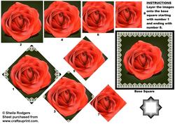 Coral Rose Star Pyramid