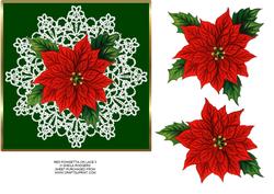 Red Poinsettia on Lace 3