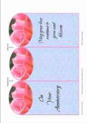 Anniversary Pink Rose