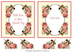 Coral Roses