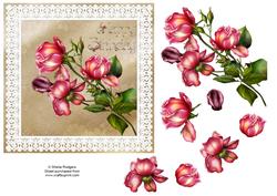Birthday Roses and Lace