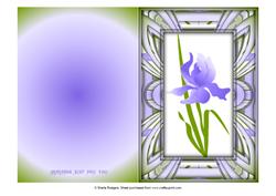 Iris Cut and Fold