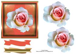 Rose with Peach Centre
