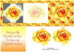 Yellow Roses
