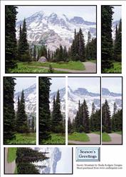 Snowy Mountain Ss