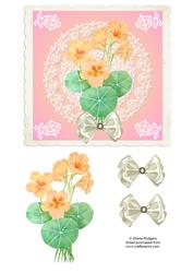 Peach Nasturtiums on Lace D'oiley