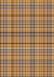Tartan/plaid 2 in Autumn Shades