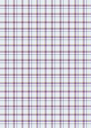 Tartan/plaid 5