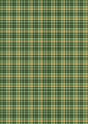 Tartan/plaid 18