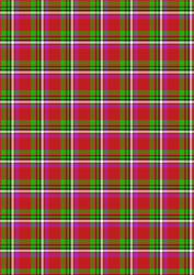 Tartan/plaid 13