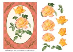 Sunblush Roses on Coral