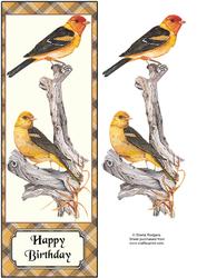 Large Dl Birds