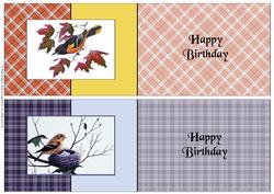 Two Bird A6 Fold Back Cards