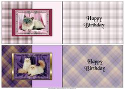 Two Cat A6 Fold Back Cards