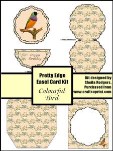 Colourful Bird Pretty Edge Easel Card Kit