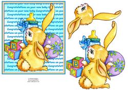 New Baby Bunny with Toys