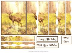 Large Buck by Water