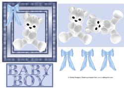 White Teddy Baby Boy
