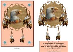 Native American Bald Eagle