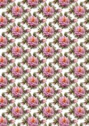 Pink Rose Backing Paper