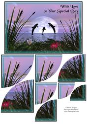 Dolphins Jumping