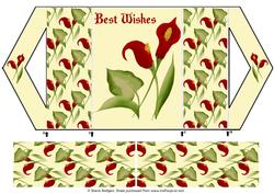 Red Calla Lilies