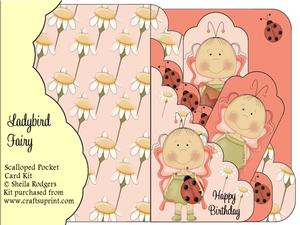 Ladybird Fairy Scalloped Pocket Card Kit