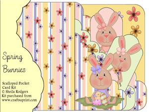 Spring Bunnies Scalloped Pocket Card Kit