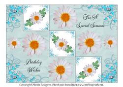 Daisies Tri Fold Steps