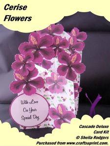 Cerise Flowers Cascade Deluxe Card Kit