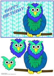 Blue Owl on Branch