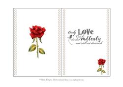 Red Rose Insert for 7 by 5 Card