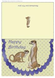 Scalloped Meerkats