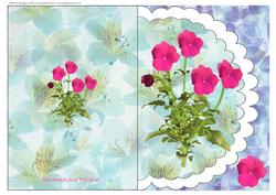Scalloped Pink Pansies