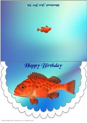 Scalloped Orange Fish