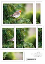 Robin Side Stacker