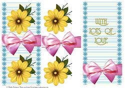 Dl Flowers and Bow with Insert