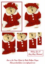 Bear in Her Xmas Clothes