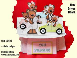 New Driver Bears 3D Shelf Card Kit