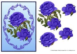 Purple Roses in Lace